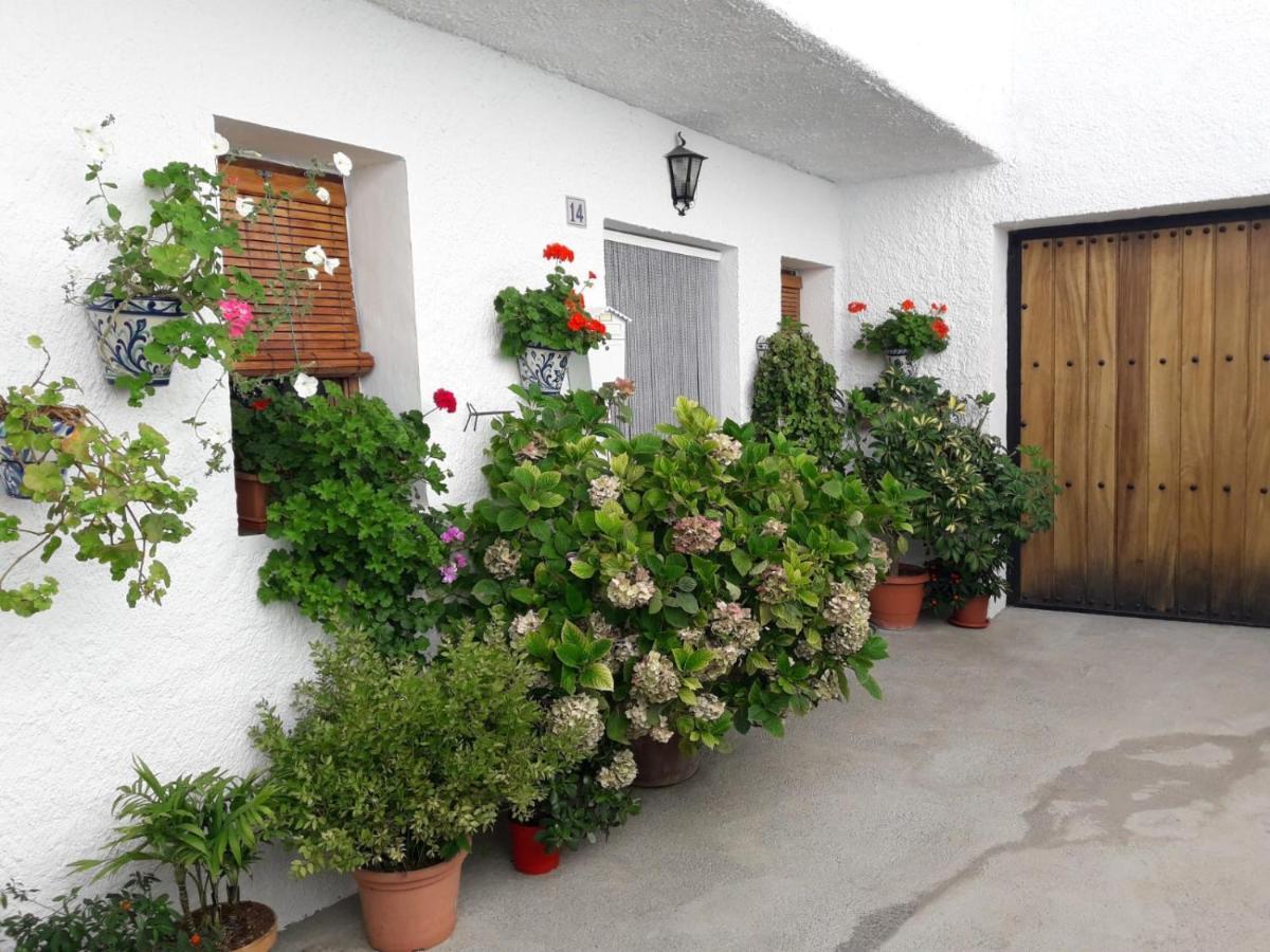 Casa La Huerta Apartment *