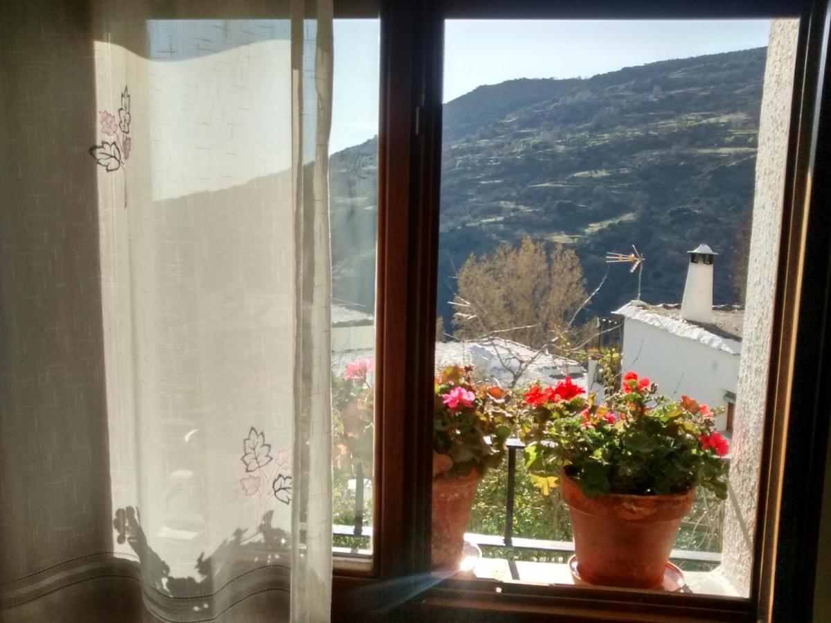 Apartamento Casa La Huerta